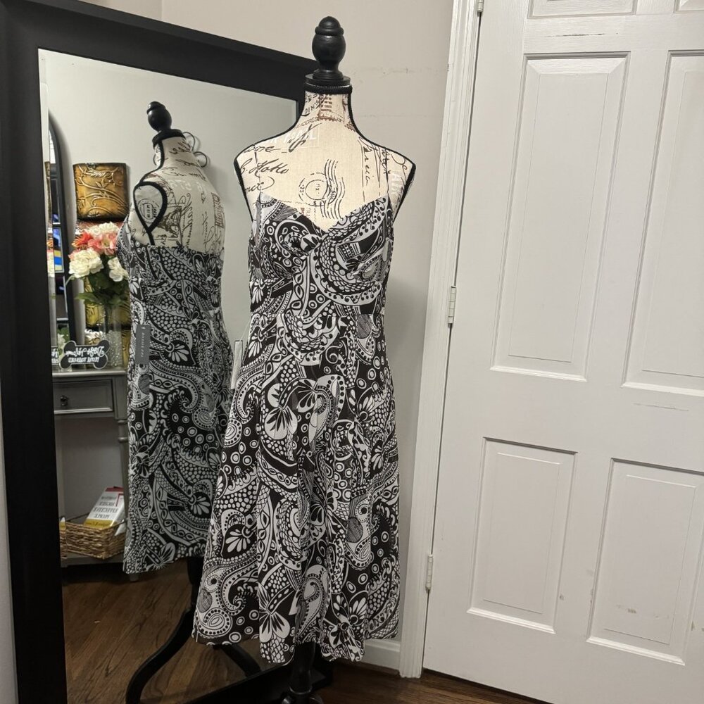 Ann Taylor Silk Brown and white Size 6